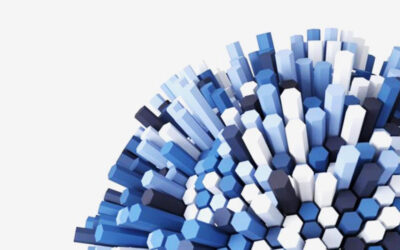 EXPLORING THE 2025 NIGERIAN DATA PROTECTION ACT AMENDMENT BILL: IMPLICATIONS FOR DIGITAL ACCOUNTABILITY AND TECHNOLOGY SECTOR ADAPTATION