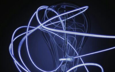 RECENT NERC’S ORDER ON DELINEATION OF ASSETS AND LIABILITIES OF DISTRIBUTION LICENSEES