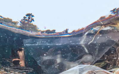 SUSTAINABILITY, ESG, AND REGULATORY COMPLIANCE: THE IMPACT OF ENVIRONMENTAL LAWS ON FMCG OPERATIONS INTRODUCTION