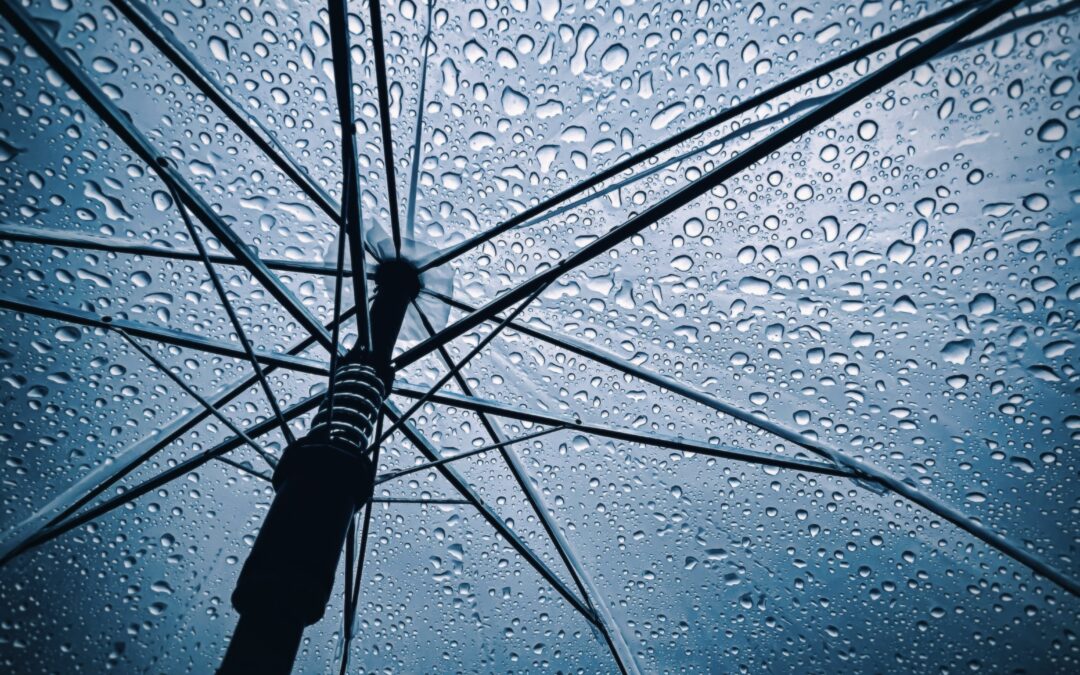 RESILIENCE AND GROWTH AMIDST UNCERTAINTY: NAVIGATING LEGAL REFORMS AND RECAPITALIZATION IN NIGERIA’S INSURANCE INDUSTRY