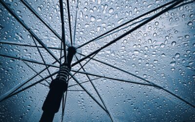 RESILIENCE AND GROWTH AMIDST UNCERTAINTY: NAVIGATING LEGAL REFORMS AND RECAPITALIZATION IN NIGERIA’S INSURANCE INDUSTRY