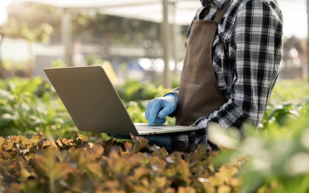 STREN & BLAN PARTNERS QUARTERLY IP NEWSLETTER- Q4, 2025