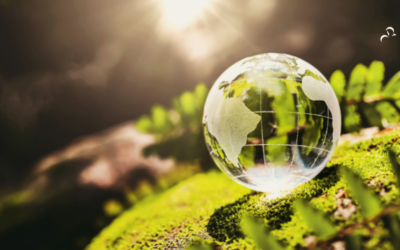 Environmental Sustainability Obligations in Nigeria’s FMCG Sector: A Legal Appraisal