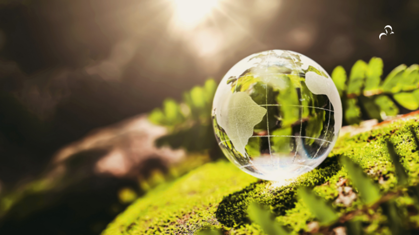 Environmental Sustainability Obligations in Nigeria’s FMCG Sector: A Legal Appraisal
